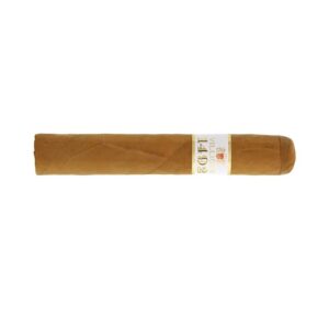 Villiger 1492 Robusto 20 er box cigars