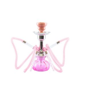 Pumpkin pink 2er Shisha in Alubox